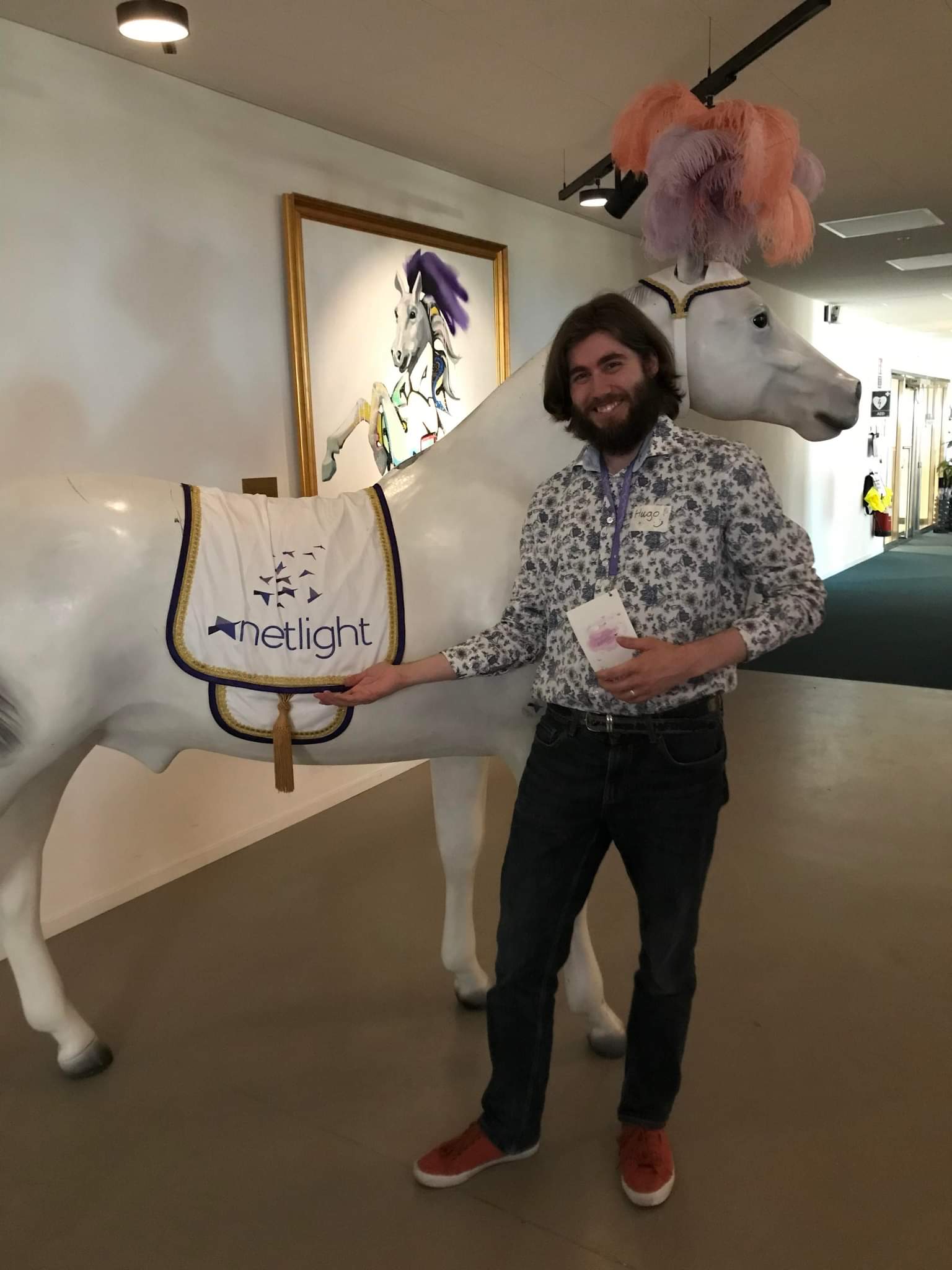 Netlight horse